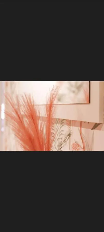 Apartamento Centro Catedral Carrera 27, 1 Plaza De Aparcamiento Y Netflix Gratis Jaén 0*,  España